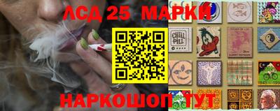 Альфа ПВП Бийск