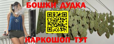 Альфа ПВП Бийск