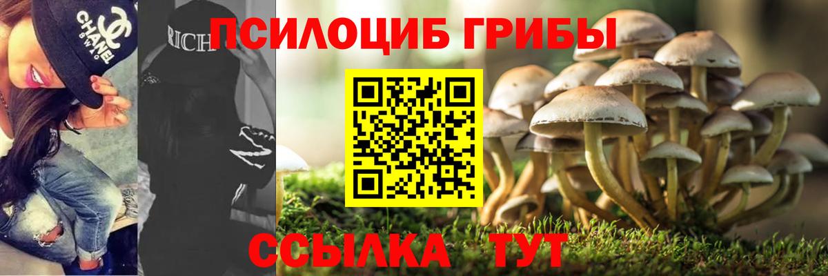 Борисоглебск  Галлюциногенные грибы Psilocybine cubensis  Вход с VPN 